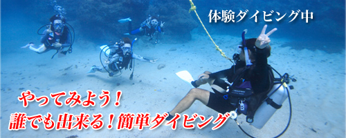 アクアコネクションズ　体験ダイビング